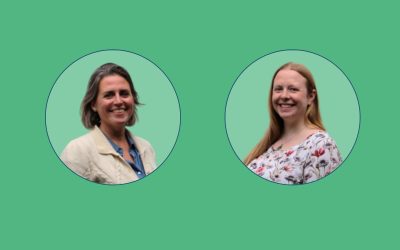 Two new seaweed enthousiasts join the GOA Ventures team